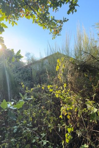 Desbroces y poda en altura,Ourense-Galici