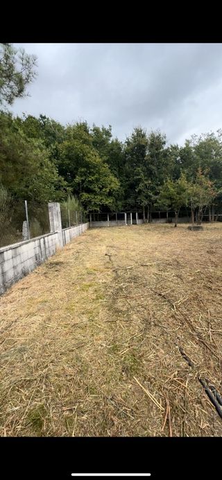 Desbroces y poda en altura,Ourense-Galici