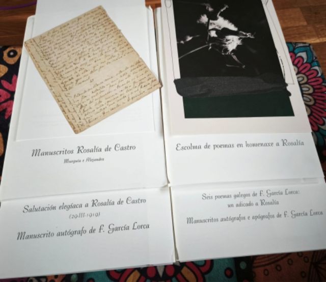 Obra en prosa de Rosalía de Castro