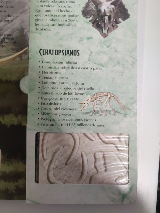 La teua iaia es una crack de les mates