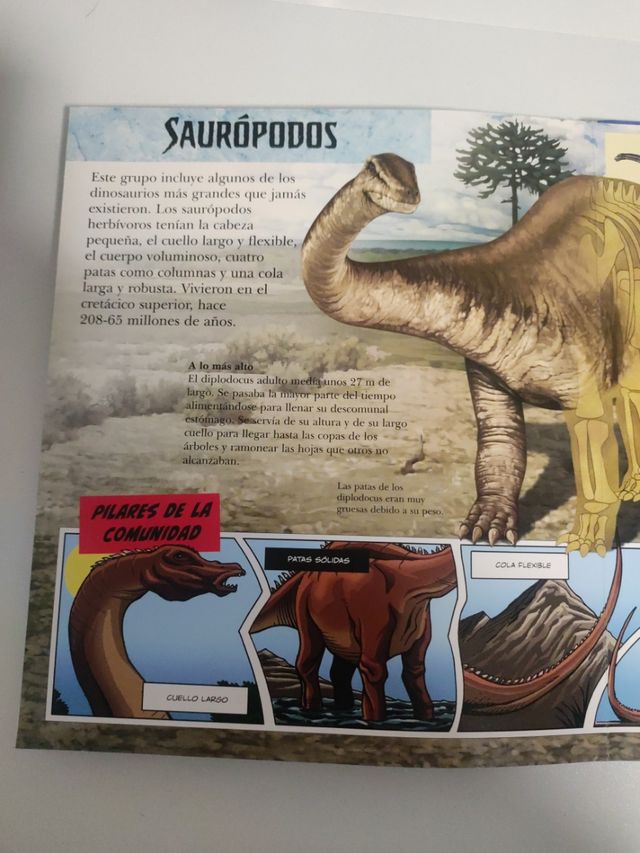 La teua iaia es una crack de les mates