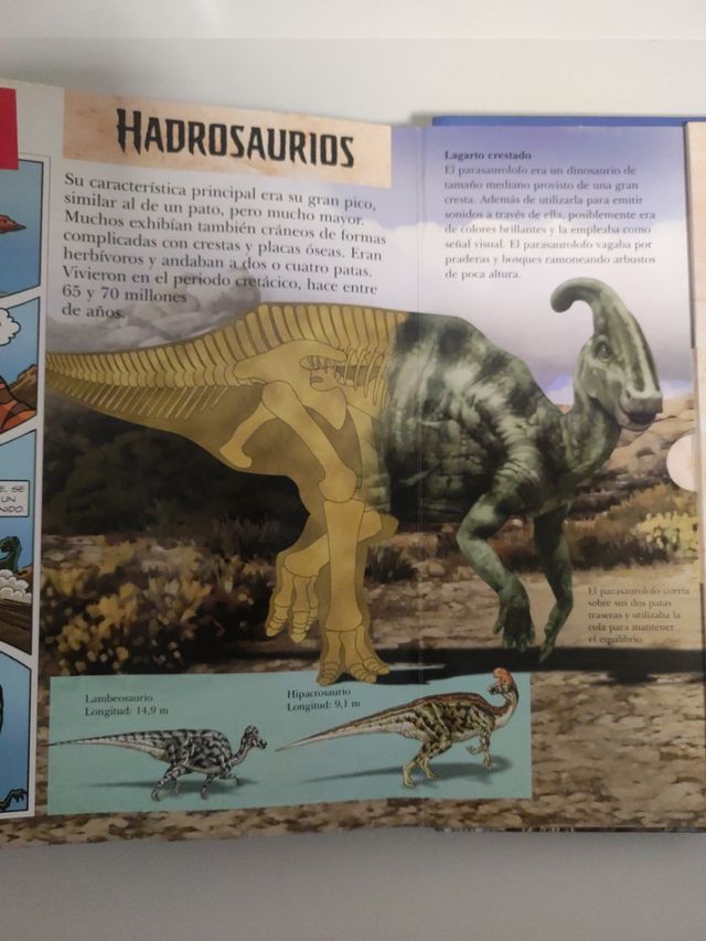 La teua iaia es una crack de les mates