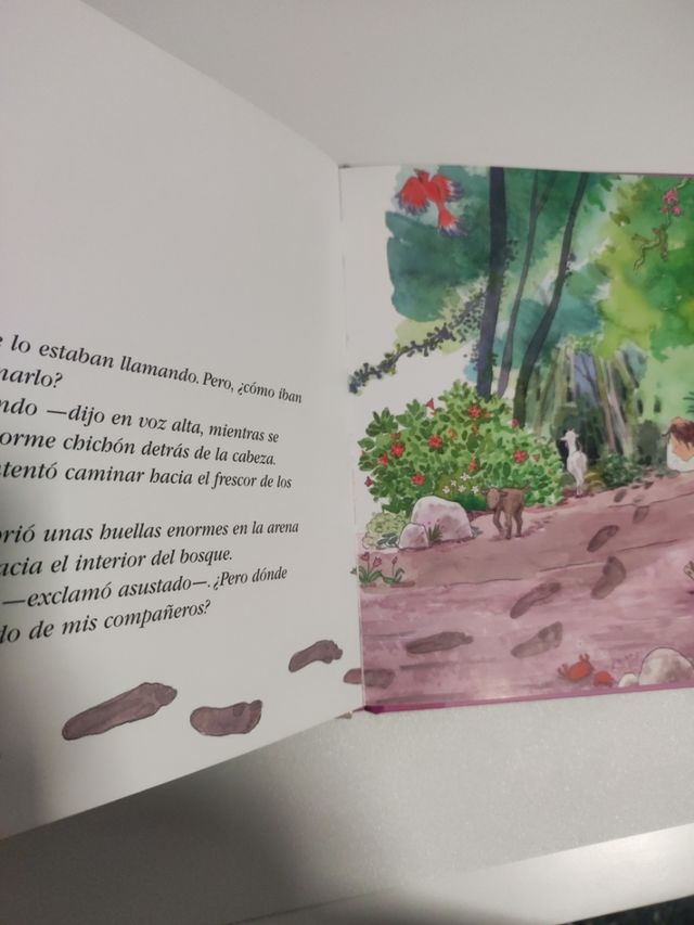 Canarias. La isla de San Borondon