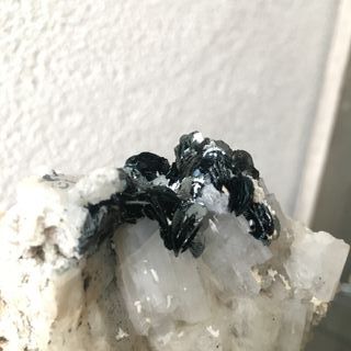 Minerali Rosa di Ferro Ematita su Adularia