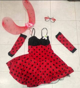 Disfraz mariquita de adulto