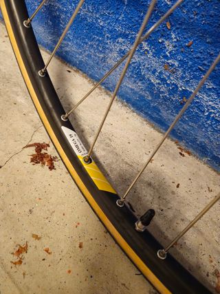 Ruedas campagnolo omega