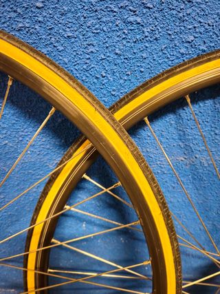 Ruedas campagnolo omega