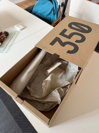 Yeezy 350