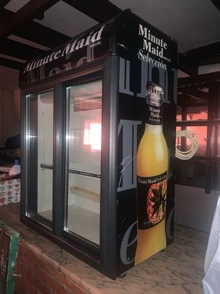 Nevera de dos puertas minute maid