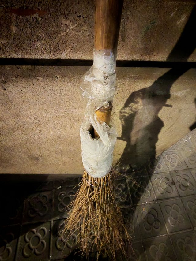 Escoba disfraz bruja o harry Potter