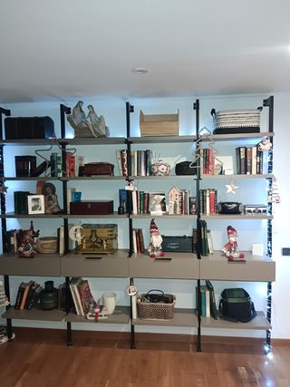Montador de muebles profesional