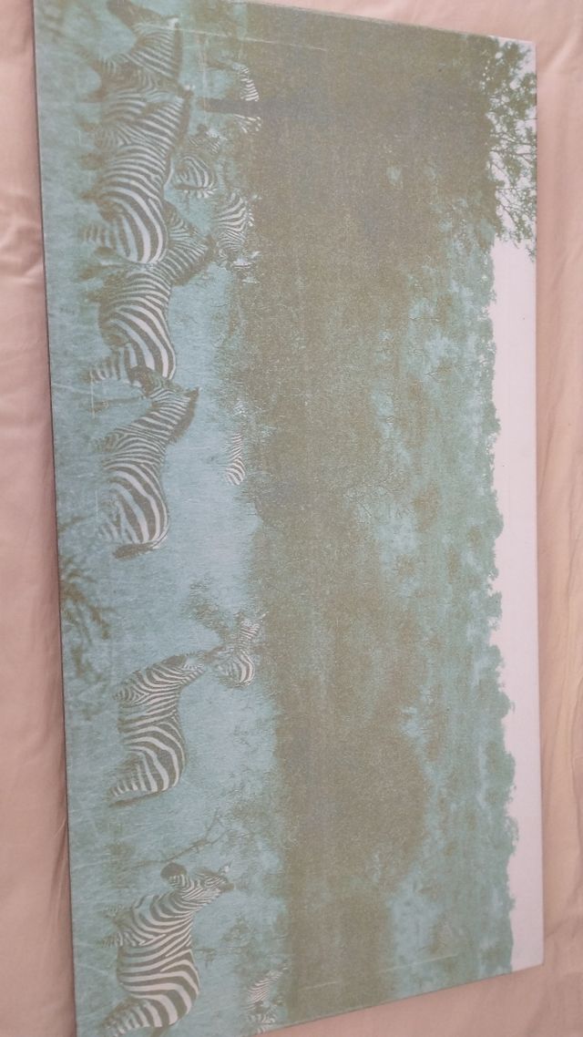 Cuadro grande paisaje cebras