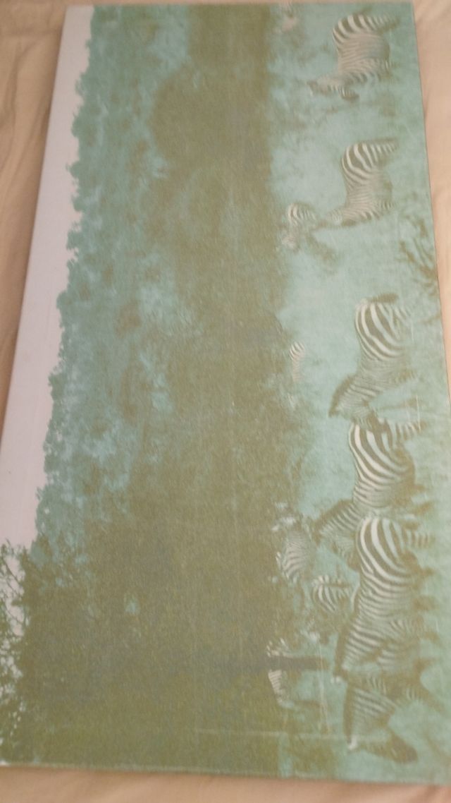 Cuadro grande paisaje cebras