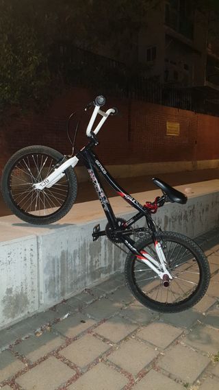Monty bike