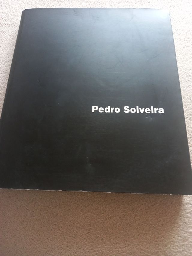 Pedro Solveira ,pintor y escultor Vigues