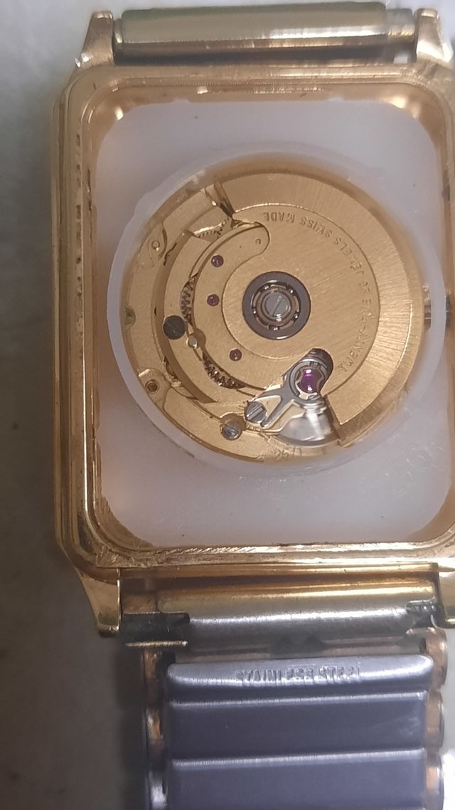 Leor International automatico oro 10 micron