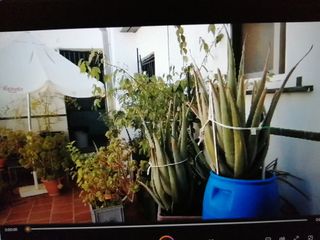 CASA DE CAMPO SIN CAMPO