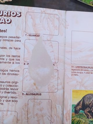 Álbumes de bollycao