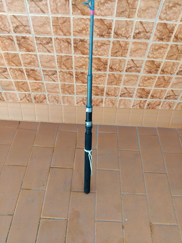 Caña de enbarcacion