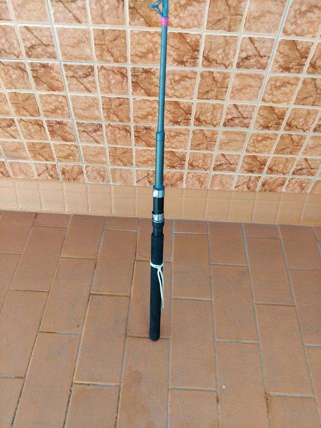 Caña de enbarcacion