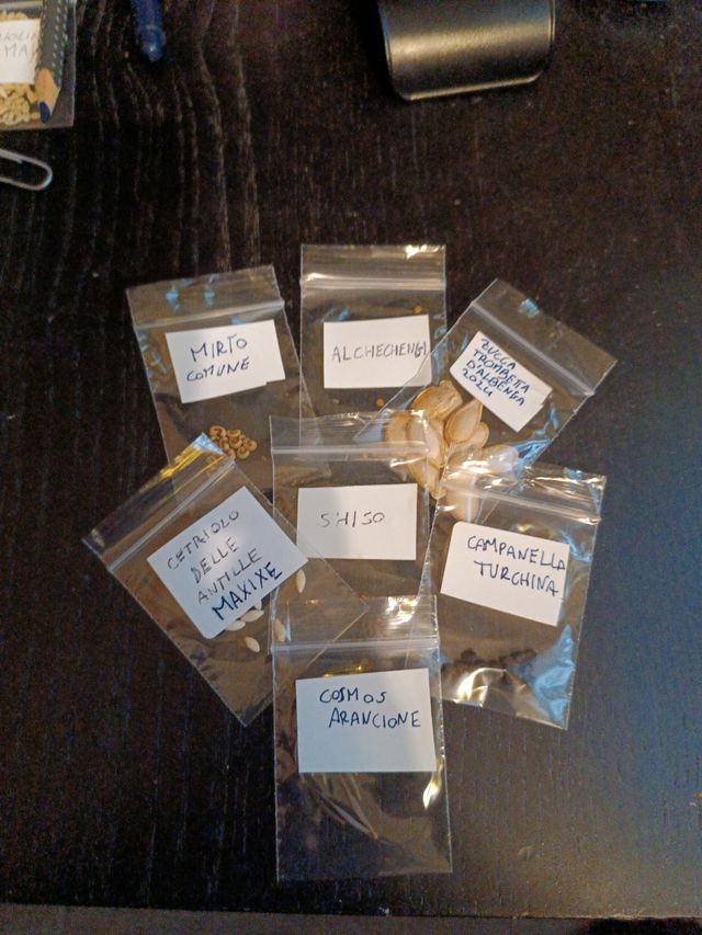 Mix semi x30 (leggere descrizione)