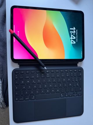 iPad Pro  m4 11"