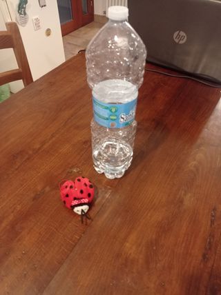 Peluche Coccinella Trudi anni 90