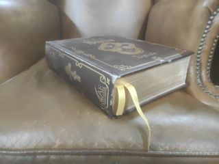 La Santa Biblia ilustrada