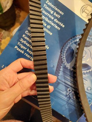 Correa de distribución Bosch