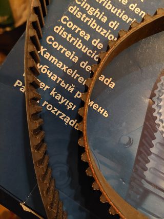 Correa de distribución Bosch