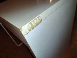 Escritorio / mesa IKEA MICKE blanco (73x50x75 cm)