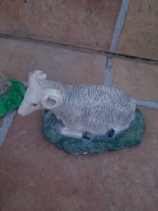 Ovejas del portal de belen 