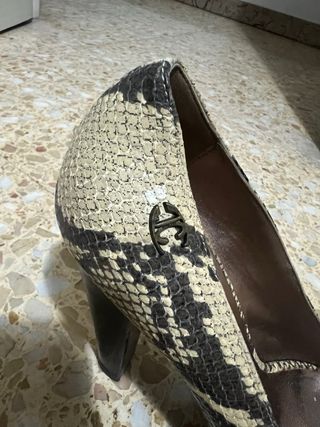 Zapatos Cavalli