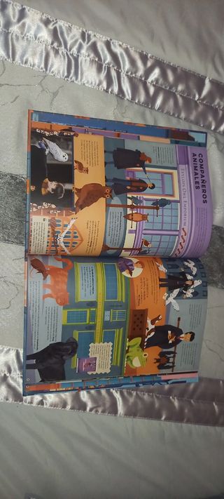 Harry Potter EXPLORAR EL CALLEJÓN DIAGON