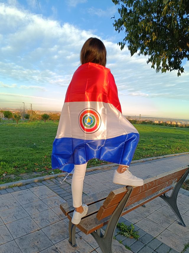 ¡¡NUEVA!! Bandera Paraguay