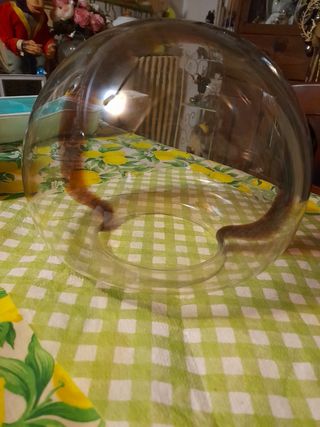 2 Ricambi per lampade in vetro