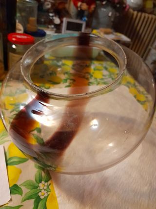 2 Ricambi per lampade in vetro