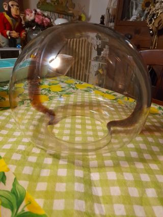 2 Ricambi per lampade in vetro