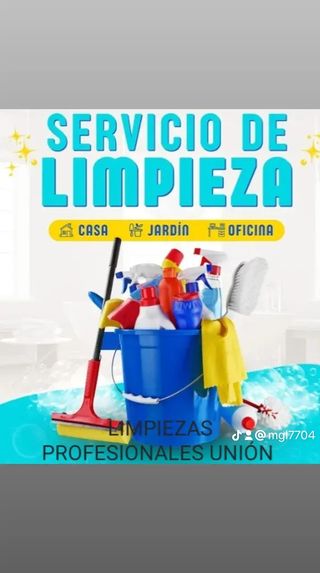 Limpiezas Profesionales Unión 