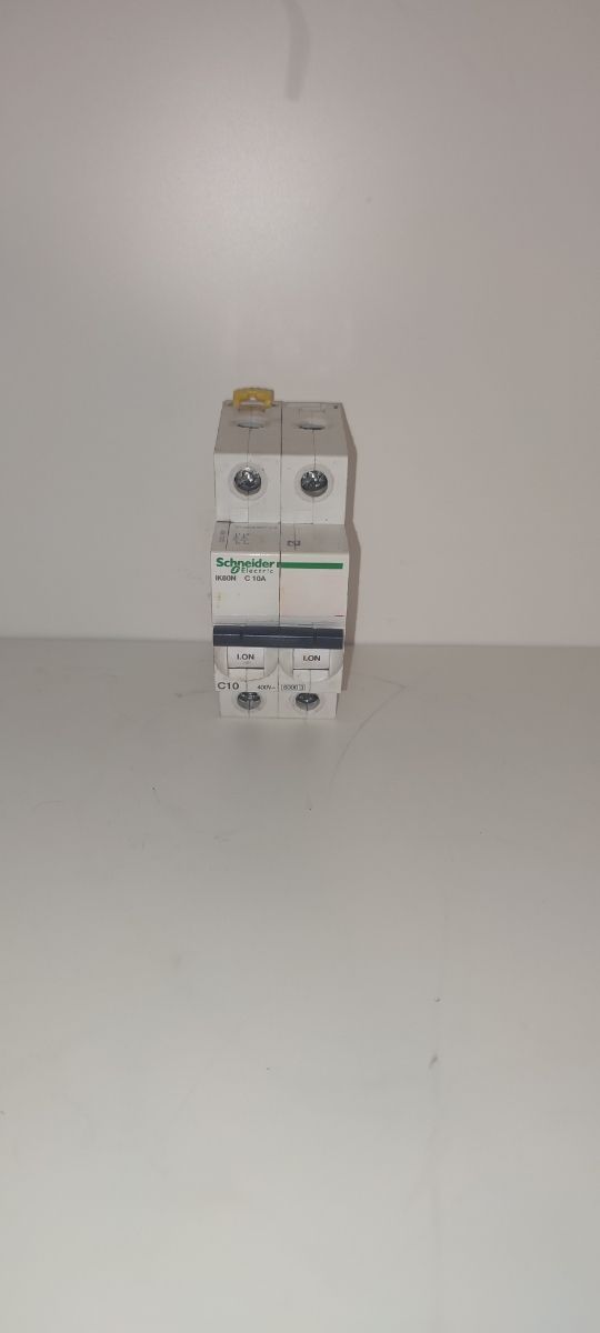 Termico Schneider 2x10A