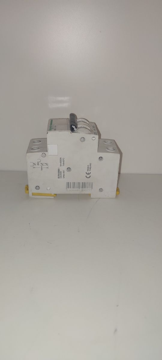 Termico Schneider 2x10A