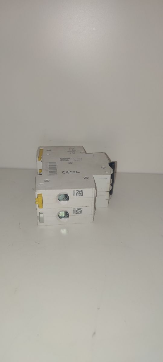 Termico Schneider 2x10A