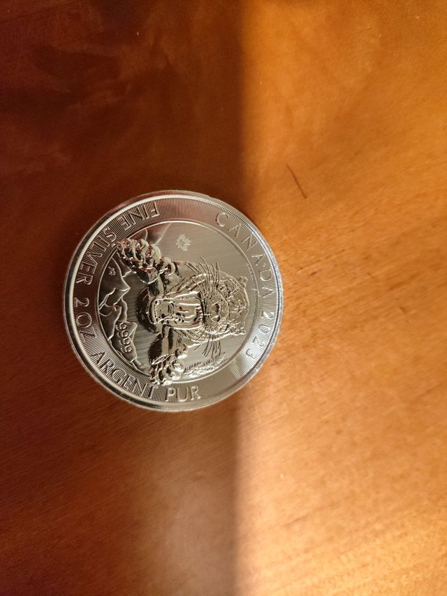 Moneda DosOnza plata