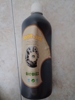 Root Juice 1 Lt