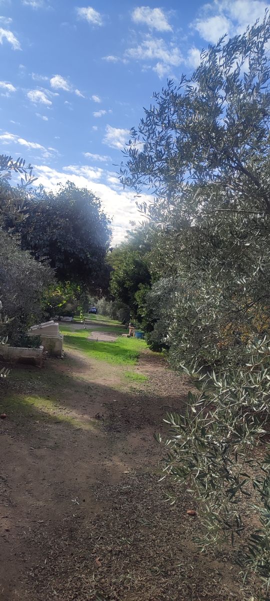 Parcela en la garza linares