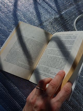 Lo strano cao del cane ucciso a mezzanotte