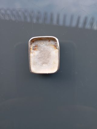 Colgante plata abulon .