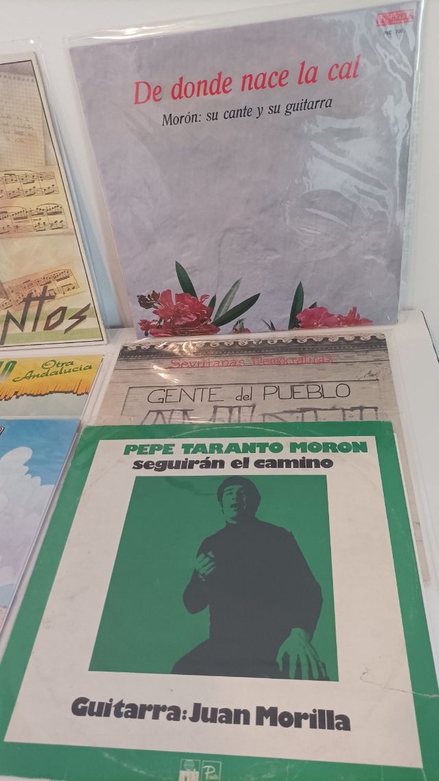 LOTE 10 DISCOS EXCLUSIVAMENTE DE MORÓN