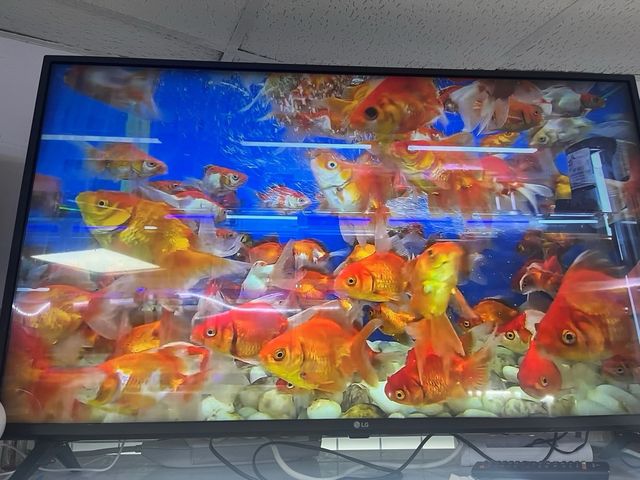 Garanzia di due anni per smart tv LG 43 