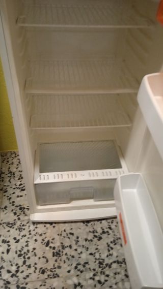 Frigorífico 